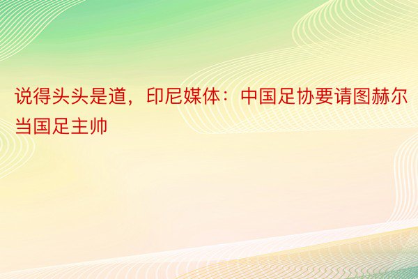 说得头头是道，印尼媒体：中国足协要请图赫尔当国足主帅