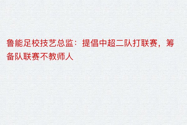 鲁能足校技艺总监：提倡中超二队打联赛，筹备队联赛不教师人